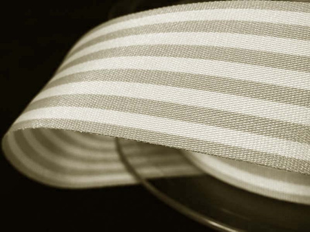 Taśma 25mm acetat STRIPES popiel