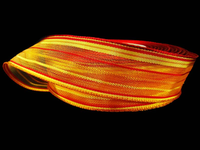 pomarańczowy