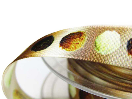 Wstążka 16mm tafta TRUFLE brąz