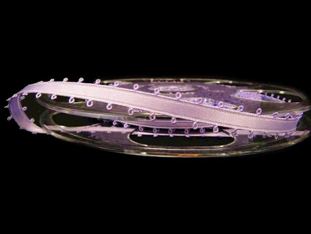 Wstążka 9mm atłas PICOT fiolet