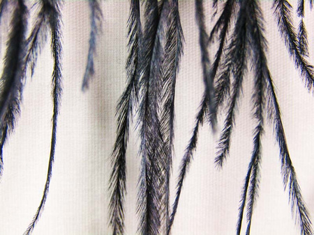 Taśma 12cm piórowa STRUŚ czarna