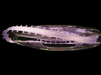 Wstążka 9mm atłas PICOT fiolet