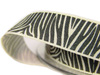 Wstążka 15mm tafta ZEBRA natural