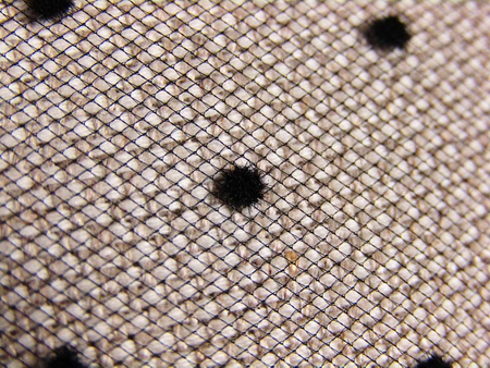 Tiul 300cm średnio sztywny KROPKI czarny