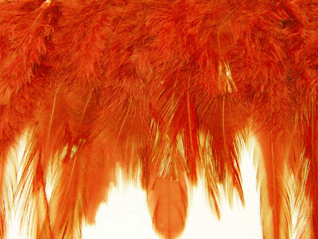 Taśma 12cm piórowa rdzawa