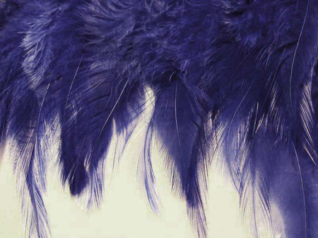 Taśma 12cm FRĘDZEL pióra granatowa