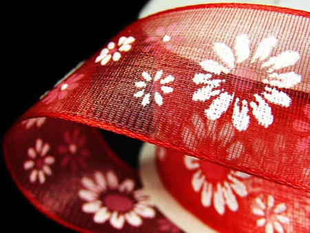 Wstążka 25mm organtyna STOKROTKI czerwona