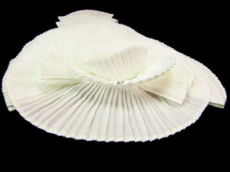 Aplikacja plisowana ivory