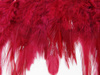 Taśma 12cm piórowa bordo