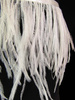 Taśma 12cm piórowa STRUŚ ivory