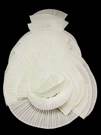 Aplikacja plisowana ivory