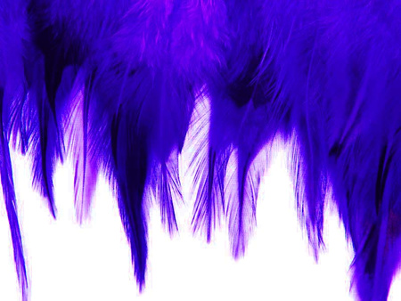 Taśma 12cm piórowa podpalany chaber