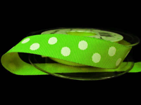 zielony pistacja