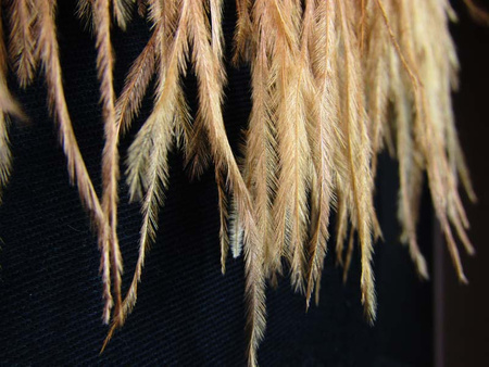 Taśma 12cm FRĘDZEL pióra złoty beż