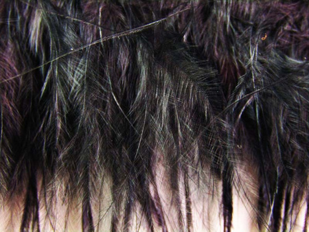 Taśma 10cm piórowa STRUŚ & MARABUT czarna