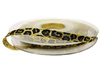 Wstążka 5mm lurex GEPARD złota