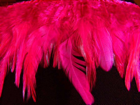 Taśma 12cm FRĘDZEL pióra amarantowa