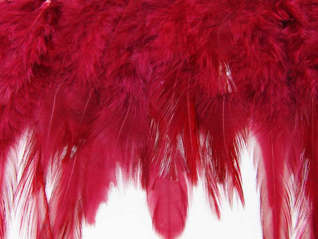 Taśma 12cm piórowa bordo