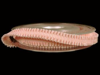 Taśma 8mm elastyczna MIGNON róż brzoskwinia