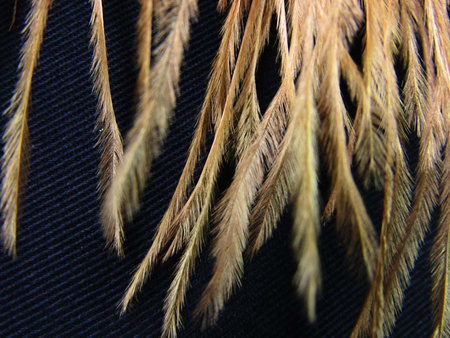 Taśma 12cm FRĘDZEL pióra złoty beż