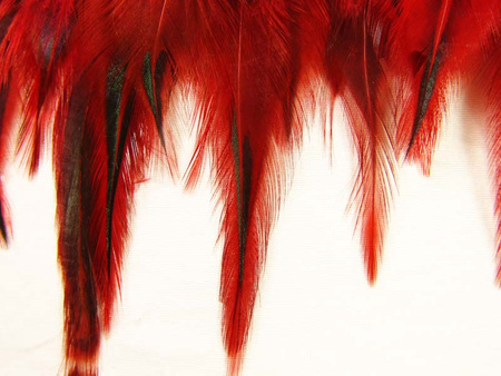 Taśma 12cm piórowa podpalana czerwień