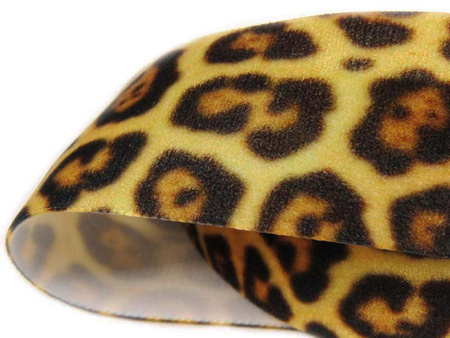 Aksamitka 36mm Jaguar złoty beż